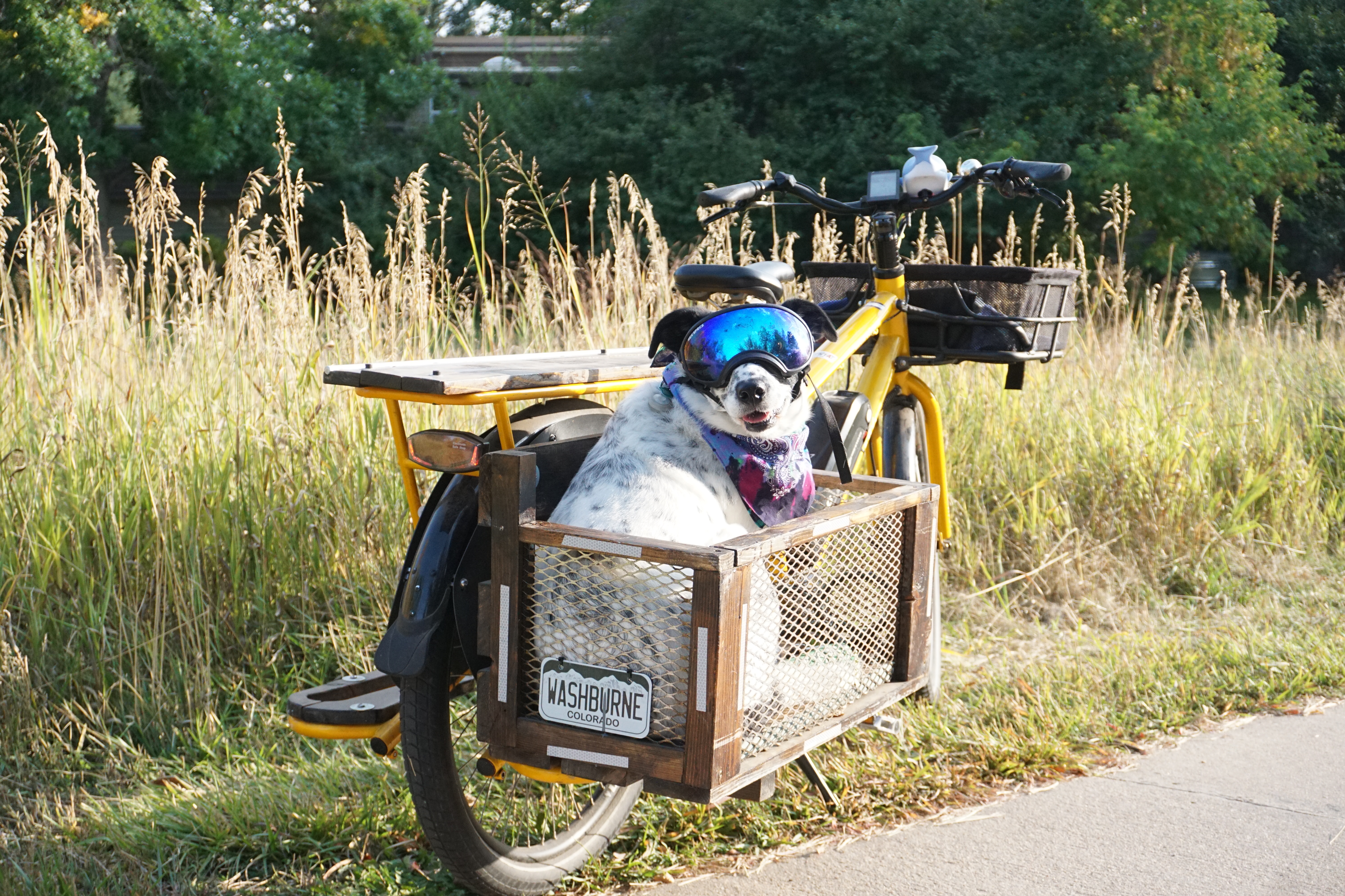 Profile Picture of Washburne